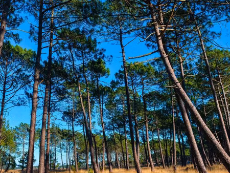 terrain 501m² libre de constructeur