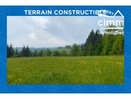 terrain constructible