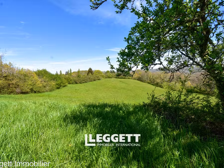 terrain nan pièce(s)  thenon
