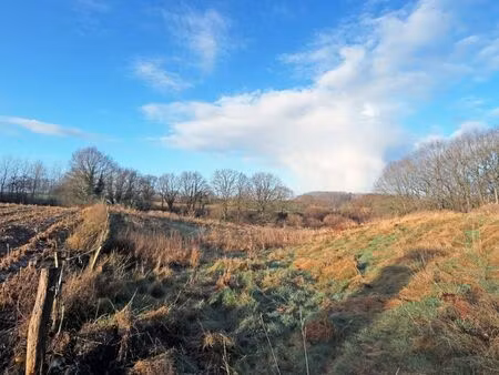 terrain arable de 86a 30ca à tielt-winge.
