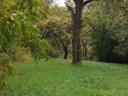 terrain arboré non constructible