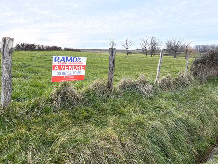 vente terrain 2330 m² venoy (89290)