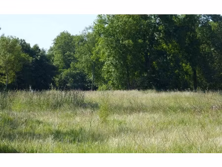 terrain marsillargues m² t- à vendre  129 000 €