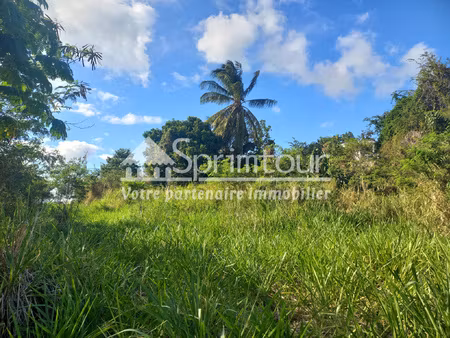 spacieux terrain à vieux habitants : espace 4 956 m2  calme