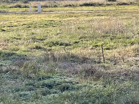 vente terrain 966 m² houeillès (47420)