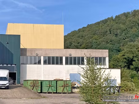 immobilier professionnel à vendre sainte-marie-aux-mines