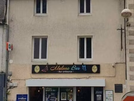 vente immeuble à nort-sur-erdre (44390) : à vendre / 205m² nort-sur-erdre