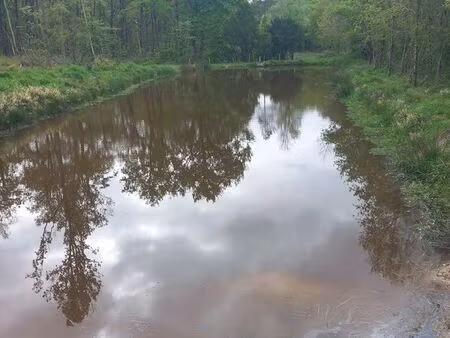 lot de 2 étangs en brenne