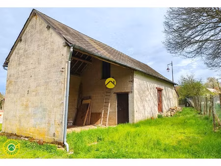 vente locaux professionnels 96 m² à aubigny-sur-nère (18700)  22 000 €