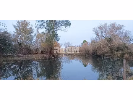 vente terrain 123886 m² à queyrac (33340)  340 000 €
