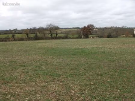 terrain 5000m2 viabilisé