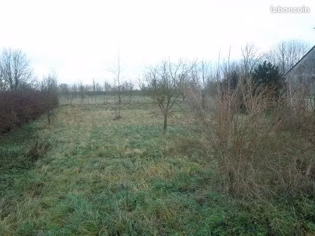 terrain 1311m² borné à rosières en santerre