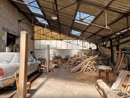 immeuble à selles sur cher 202 m2