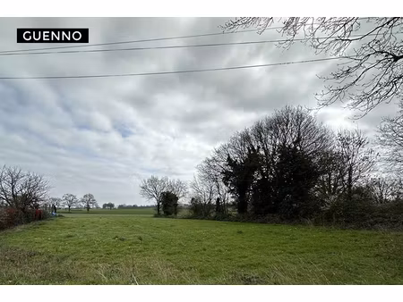 terrain louvigne de bais 1920 m2