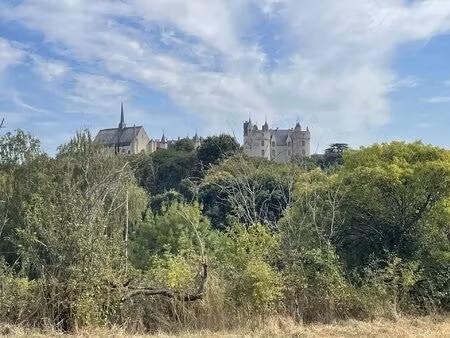 terrain a batir montreuil-bellay avec superbe vue