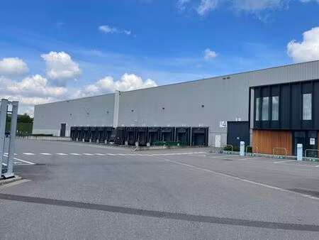 entrepôt à louer à willebroek