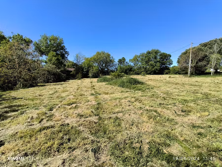 terrain plat arboré de 1143 m2 en pleine campagne
