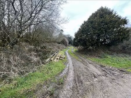 vente terrain 1024 m² lannéanou (29640)