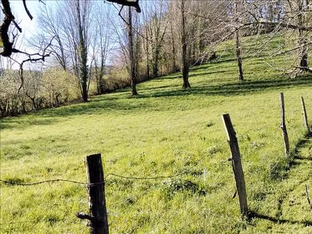 vente terrain 1679 m² saint-jean-lespinasse (46400)