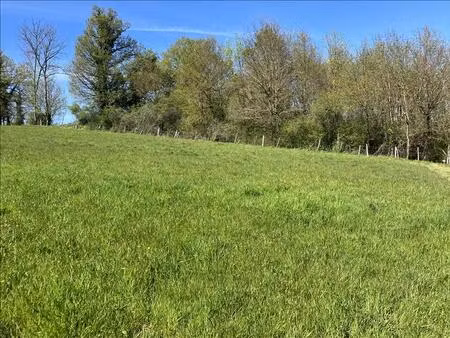 vente terrain 2316 m² saillat-sur-vienne (87720)