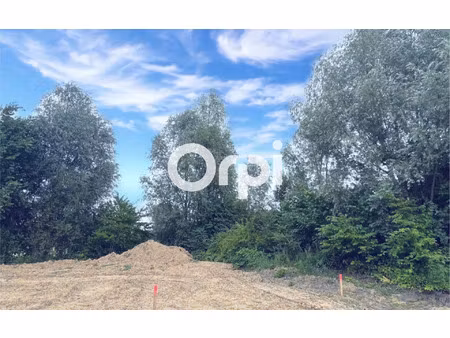 terrain templeuve m² t- à vendre  155 000 €