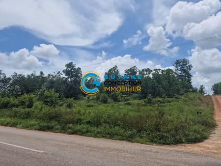 terrain à vendre saint laurent du maroni