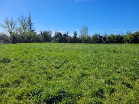 terrain constructible