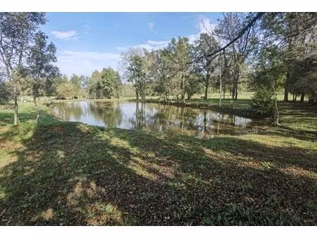 secteur excideuil - étang sur terrain de 6800m² arboré et au calme