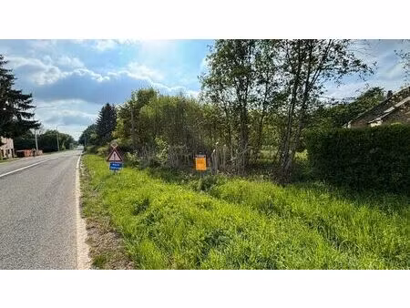 prachtig perceel te koop in couvin