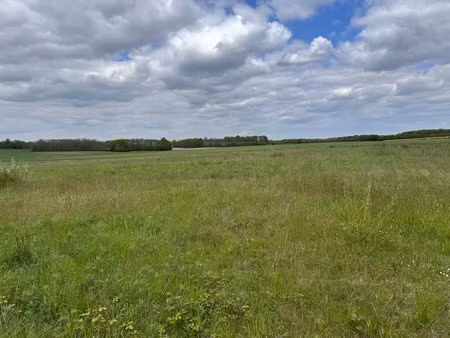 vente terrain 959 m² à houdan (78550)  124 000 €