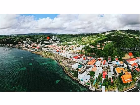 locaux/biens immobiliers