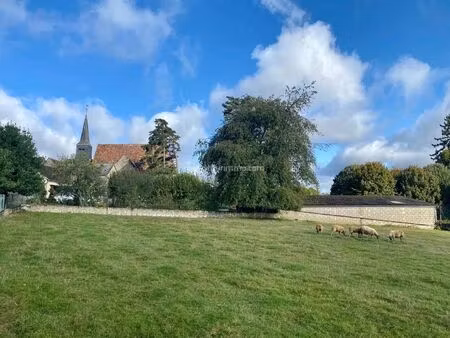 vente terrain 4187 m² bessé-sur-braye (72310)