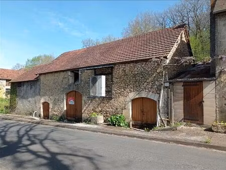 vente maison 11 pièces 268 m² la cassagne (24120)