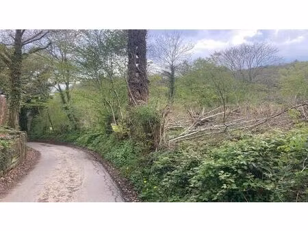 terrain à bâtir à vendre à fonds de l'eau couvin (vbb11392)