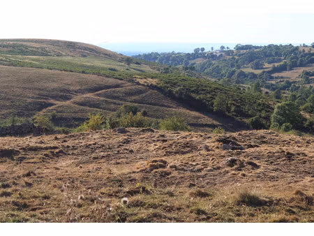 14.69 hectares de terrain agricole