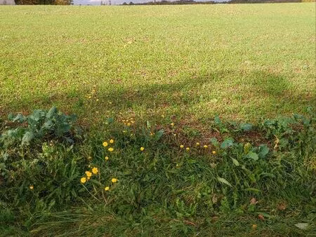 terrain à bâtir 6484 m2 cornant 89500