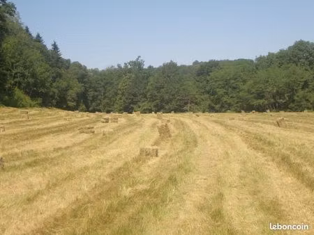 terres agricoles bio 15ha 51 montesquieu-volvestre