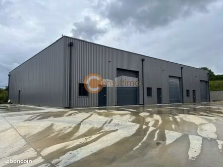 local d'activité 500 m²