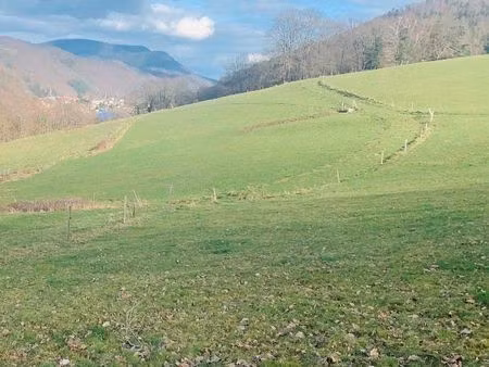 terrain constructible