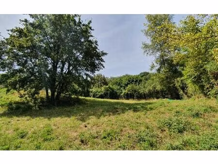 terrain lissac-sur-couze m² t- à vendre  18 000 €