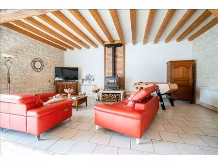 vente maison 9 pièces 270 m² assay (37120)