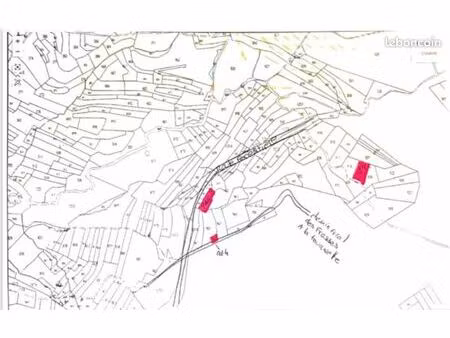 terrains boisés arborés