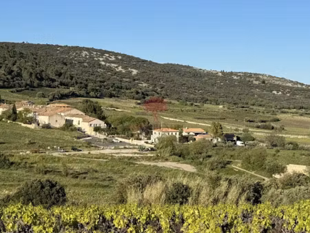 vente terrain 3463 m² à montpeyroux (34150)  210 000 €