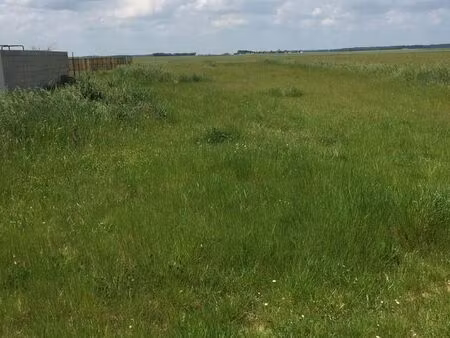 terrain à vendre - 953 m2 - angerville - 91 - ile-de-france