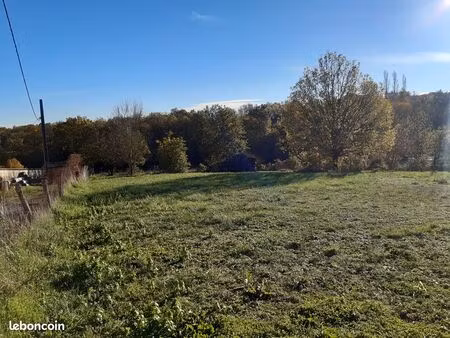 terrain arboré centre de mirandol