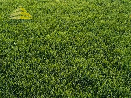 vente terrain 650 m² périgny (94520)