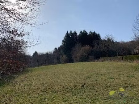 terrain 3 961 m² affieux