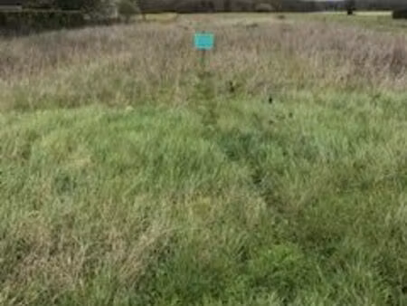 terrain constructible