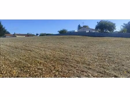 vente terrain 800 m² châteauneuf-sur-charente (16120)