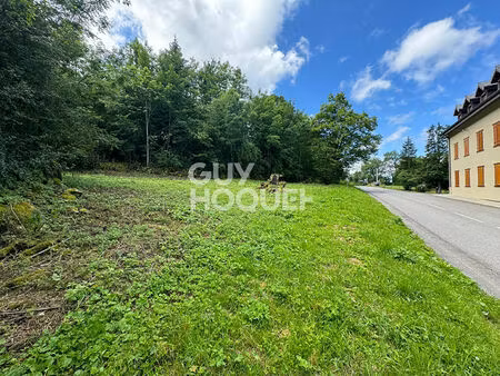 terrain viabilisé et débroussaillé libre constructeurs thollon les memises